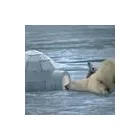 3 üzleti kép RPONT BEMUTATÓTEREM Üzleti szolgáltatások ban/ben Kaposvár SO