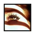 5 üzleti kép RPONT BEMUTATÓTEREM Üzleti szolgáltatások ban/ben Kaposvár SO