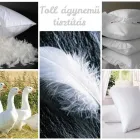 21 üzleti kép RUHASZERVIZ Varroda, ruhatervező ban/ben Paks TO