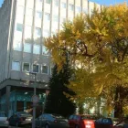 1 üzleti kép SOMOGYI KERESKEDELMI ÉS IPARKAMARA Kamarák ban/ben Kaposvár SO