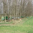 2 üzleti kép SÓTI MÉHÉSZET Méhészet ban/ben Kistelek CS