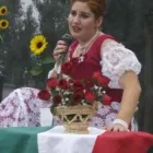 15 üzleti kép STAR SHOW Zeneszolgáltatás ban/ben Miskolc BZ