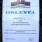 63 üzleti kép STAR SHOW Zeneszolgáltatás ban/ben Miskolc BZ