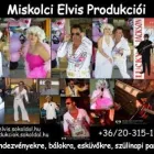 64 üzleti kép STAR SHOW Zeneszolgáltatás ban/ben Miskolc BZ