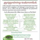 3 üzleti kép SZÉPSÉGMENNYORSZÁG Üzletek ban/ben Keszthely ZA