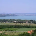 1 üzleti kép SZOBAKIADÁS / SZÁLLÁS ZAMÁRDIBAN Idegenforgalom & Utazás ban/ben Zamárdi SO