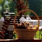 8 üzleti kép SZŐLŐSKERT - HOTEL VINEYARD INN*** Motel, panzió ban/ben Nagykanizsa ZA