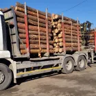 10 üzleti kép TAMÁS OTTÓ FAANYAGSZÁLLÍTÁS ÉS ERDEI CSEMETE SOROK TISZTÍTÁSA Szállítmányozás ban/ben Nagykanizsa ZA