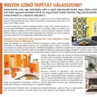 4 üzleti kép TAPETAMANIA.HU - ZEN TAPÉTA KFT. Üzletek ban/ben Eger HE