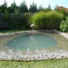 2 üzleti kép TECHFOL KFT Uszodatechnika ban/ben Sződ PE