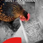 10 üzleti kép TETRA SYSTEMS KFT Takarmány, állattenyésztési termékek ban/ben Uraiújfalu VA