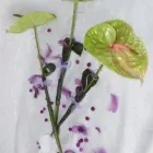 11 üzleti kép TIMI VIRÁG Virágüzlet, virágkötészet ban/ben Kaposvár SO