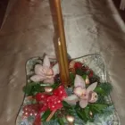 4 üzleti kép VIRÁG-KUCKÓ Üzleti szolgáltatások ban/ben Miskolc BZ