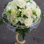 8 üzleti kép VIRÁG-KUCKÓ Üzleti szolgáltatások ban/ben Miskolc BZ