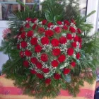 11 üzleti kép VIRÁG-KUCKÓ Üzleti szolgáltatások ban/ben Miskolc BZ