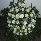 12 üzleti kép VIRÁG-KUCKÓ Üzleti szolgáltatások ban/ben Miskolc BZ