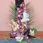 13 üzleti kép VIRÁG-KUCKÓ Üzleti szolgáltatások ban/ben Miskolc BZ