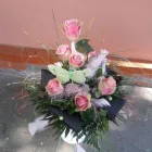 14 üzleti kép VIRÁG-KUCKÓ Üzleti szolgáltatások ban/ben Miskolc BZ