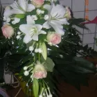 16 üzleti kép VIRÁG-KUCKÓ Üzleti szolgáltatások ban/ben Miskolc BZ