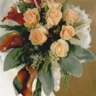 17 üzleti kép VIRÁG-KUCKÓ Üzleti szolgáltatások ban/ben Miskolc BZ