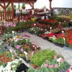 1 üzleti kép VIRÁGOSKERT VIRÁGBOLT Virágüzlet, virágkötészet ban/ben Mosonmagyaróvár GS