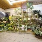 4 üzleti kép VIRÁGOSKERT VIRÁGBOLT Virágüzlet, virágkötészet ban/ben Mosonmagyaróvár GS