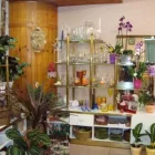 5 üzleti kép VIRÁGOSKERT VIRÁGBOLT Virágüzlet, virágkötészet ban/ben Mosonmagyaróvár GS