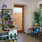 6 üzleti kép VIRÁGOSKERT VIRÁGBOLT Virágüzlet, virágkötészet ban/ben Mosonmagyaróvár GS