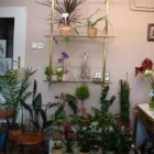 7 üzleti kép VIRÁGOSKERT VIRÁGBOLT Virágüzlet, virágkötészet ban/ben Mosonmagyaróvár GS