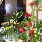 9 üzleti kép VIRÁGOSKERT VIRÁGBOLT Virágüzlet, virágkötészet ban/ben Mosonmagyaróvár GS