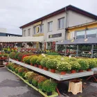 12 üzleti kép VIRÁGÜZLET VIRÁGKÜLDÉS GYŐR BÉCSI VIRÁG KFT. Virágok, virágpiac, virágküldés ban/ben Győr GS
