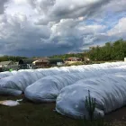 2 üzleti kép VITAL-FEED KFT.--MEZŐGAZDASÁG,-TAKARMÁNYOZÁSI SZAKTANÁCSADÁS Mezőgazdaság ban/ben Kapuvár GS