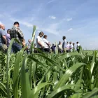 3 üzleti kép VITAL-FEED KFT.--MEZŐGAZDASÁG,-TAKARMÁNYOZÁSI SZAKTANÁCSADÁS Mezőgazdaság ban/ben Kapuvár GS