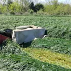 3 üzleti kép VITAL-FEED KFT.--MEZŐGAZDASÁG,-TAKARMÁNYOZÁSI SZAKTANÁCSADÁS Mezőgazdaság ban/ben Kapuvár GS