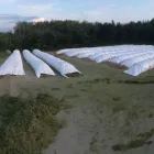 13 üzleti kép VITAL-FEED KFT.--MEZŐGAZDASÁG,-TAKARMÁNYOZÁSI SZAKTANÁCSADÁS Mezőgazdaság ban/ben Kapuvár GS