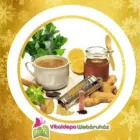 3 üzleti kép VITALDEPO WEBÁRUHÁZ Üzleti szolgáltatások ban/ben Szeged CS