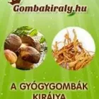 6 üzleti kép VITALDEPO WEBÁRUHÁZ Üzleti szolgáltatások ban/ben Szeged CS