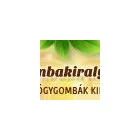 12 üzleti kép VITALDEPO WEBÁRUHÁZ Üzleti szolgáltatások ban/ben Szeged CS
