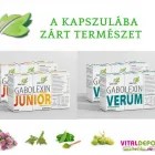14 üzleti kép VITALDEPO WEBÁRUHÁZ Üzleti szolgáltatások ban/ben Szeged CS