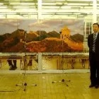 4 üzleti kép YIN-YANG EGÉSZSÉGÜGYI ÉS OKTATÁSI KÖZPONT DR. WANG YU CAI Természetgyógyászat ban/ben Debrecen HB