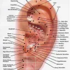 8 üzleti kép YIN-YANG EGÉSZSÉGÜGYI ÉS OKTATÁSI KÖZPONT DR. WANG YU CAI Természetgyógyászat ban/ben Debrecen HB