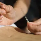 10 üzleti kép YIN-YANG EGÉSZSÉGÜGYI ÉS OKTATÁSI KÖZPONT DR. WANG YU CAI Természetgyógyászat ban/ben Debrecen HB