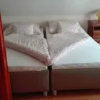 3 üzleti kép ZÖLD ORGONA VENDÉGHÁZ ÉS ÉTTEREM Vendéglátás ban/ben Berekfürdő JN