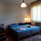 6 üzleti kép ZÖLD ORGONA VENDÉGHÁZ ÉS ÉTTEREM Vendéglátás ban/ben Berekfürdő JN