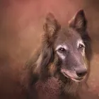 5 üzleti kép ZSÉEL PHOTOGRAPHY Kultúra & Művészet ban/ben Budapest