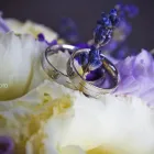 3 üzleti kép ZSIRI PHOTO Számítástechnika & Elektronika ban/ben Zalaegerszeg ZA