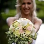 13 üzleti kép ZSIRI PHOTO Számítástechnika & Elektronika ban/ben Zalaegerszeg ZA