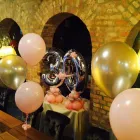 21 üzleti kép ZSO-WIZARD KFT. - BALLOON & TREND Üzleti szolgáltatások ban/ben Székesfehérvár FE