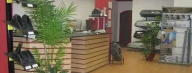 2 üzleti kép AMEGA STUDIO SZOLGÁLTATÓ ÉS KERESKEDELMI KFT. Autó-motor alkatrész ban/ben Budapest
