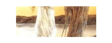 5 üzleti kép ATLANTISZI KRISTÁLYPIRAMIS ALTERNATÍVÁK Kultúra & Művészet ban/ben Székesfehérvár FE